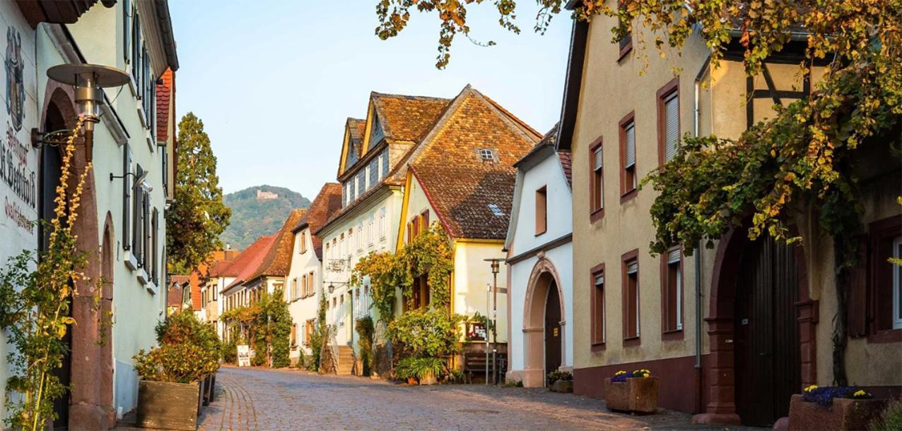 Hotel Rhodter Adler Rhodt unter Rietburg Kültér fotó